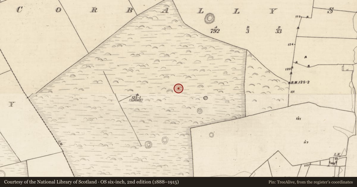 Ordnance Survey six-inch map, 2nd edition (1888–1915) covering the location of Enclosure, Corbally South, County Galway, with a pin at the register's coordinates