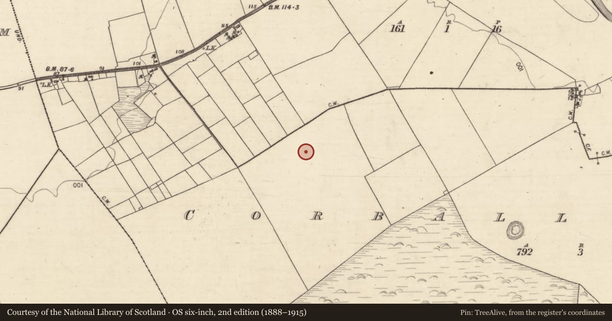 Ordnance Survey six-inch map, 2nd edition (1888–1915) covering the location of Souterrain, Corbally South, County Galway, with a pin at the register's coordinates