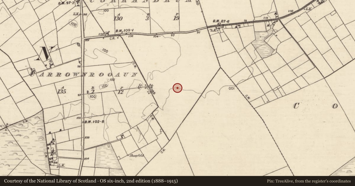Ordnance Survey six-inch map, 2nd edition (1888–1915) covering the location of Cist, Corrandrum, County Galway, with a pin at the register's coordinates