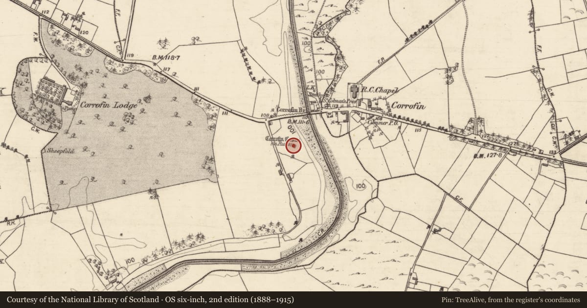 Ordnance Survey six-inch map, 2nd edition (1888–1915) covering the location of Castle - tower house, Corrofin, County Galway, with a pin at the register's coordinates