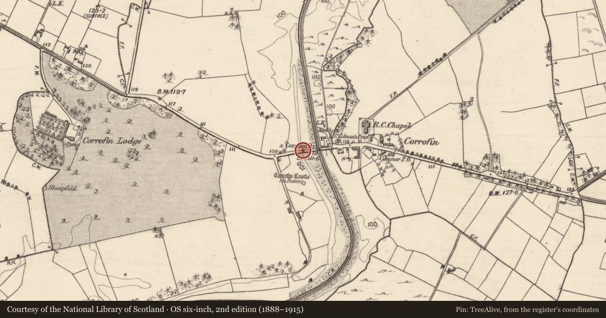 Ordnance Survey six-inch map, 2nd edition (1888–1915) covering the location of Bridge, Corrofin, Turloughmartin, County Galway, with a pin at the register's coordinates