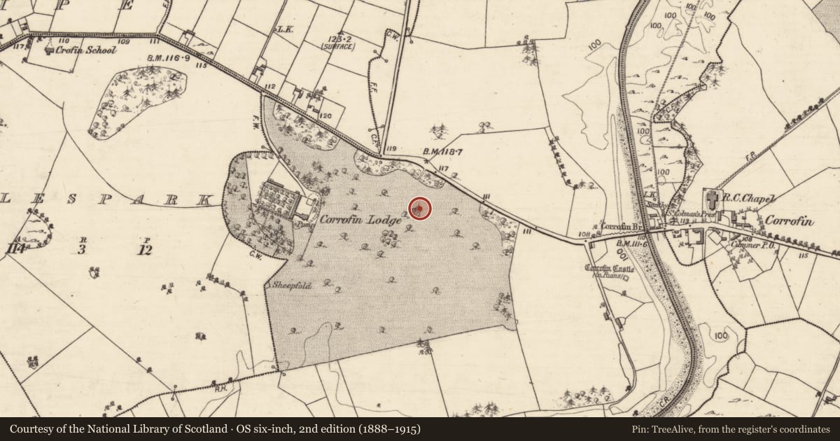 Ordnance Survey six-inch map, 2nd edition (1888–1915) covering the location of Designed landscape feature, Corrofin, County Galway, with a pin at the register's coordinates