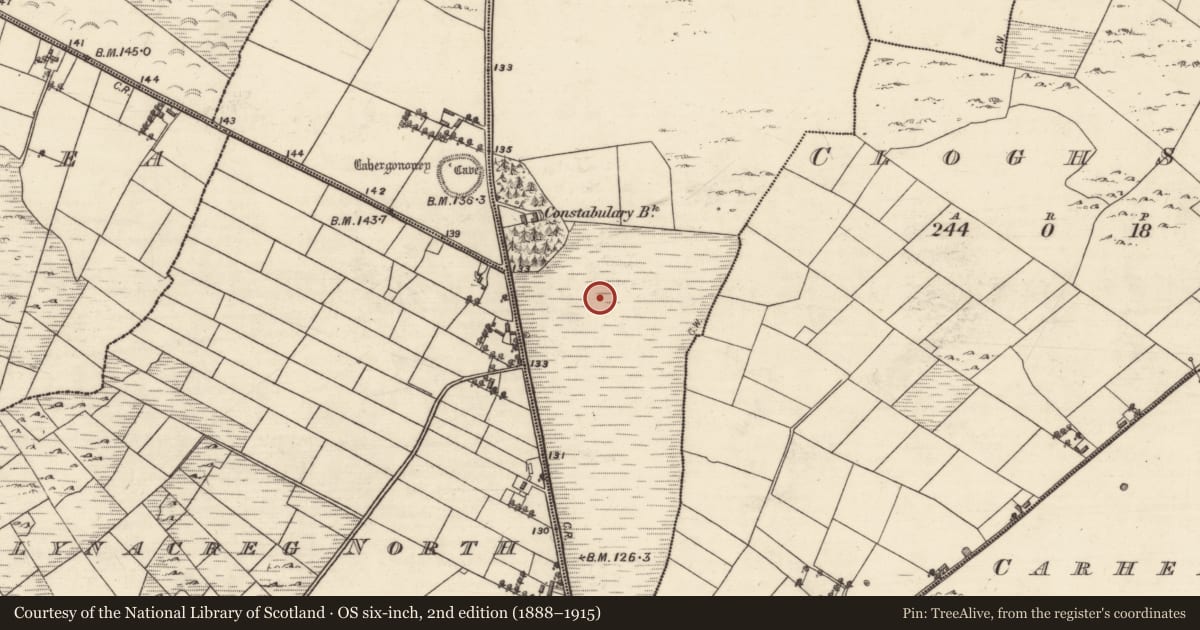 Ordnance Survey six-inch map, 2nd edition (1888–1915) covering the location of Mound, Cummer, County Galway, with a pin at the register's coordinates