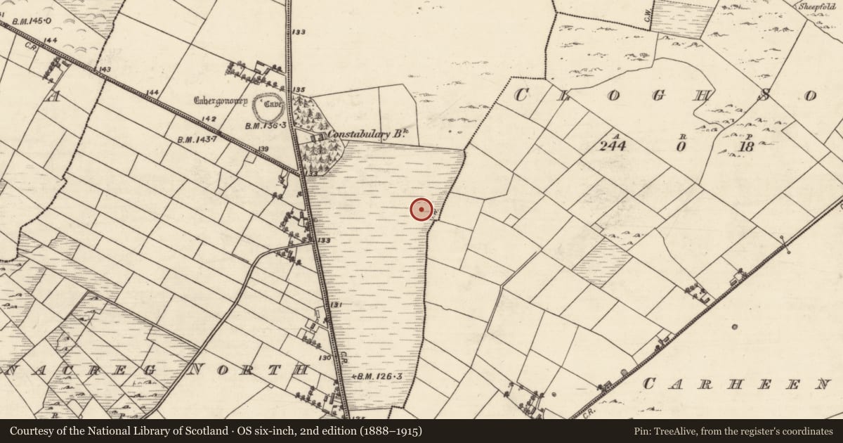 Ordnance Survey six-inch map, 2nd edition (1888–1915) covering the location of Mound, Cummer, County Galway, with a pin at the register's coordinates