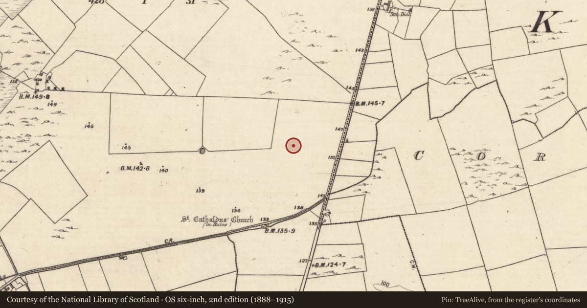 Ordnance Survey six-inch map, 2nd edition (1888–1915) covering the location of Ringfort - cashel, Kilcahill, County Galway, with a pin at the register's coordinates