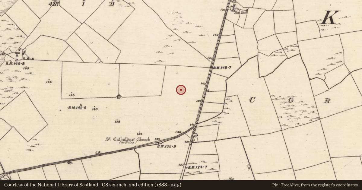 Ordnance Survey six-inch map, 2nd edition (1888–1915) covering the location of Ringfort - cashel, Kilcahill, County Galway, with a pin at the register's coordinates