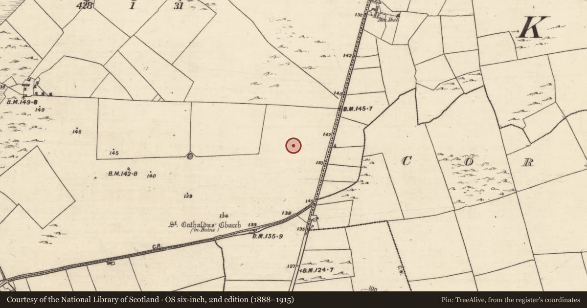 Ordnance Survey six-inch map, 2nd edition (1888–1915) covering the location of Field system, Kilcahill, County Galway, with a pin at the register's coordinates