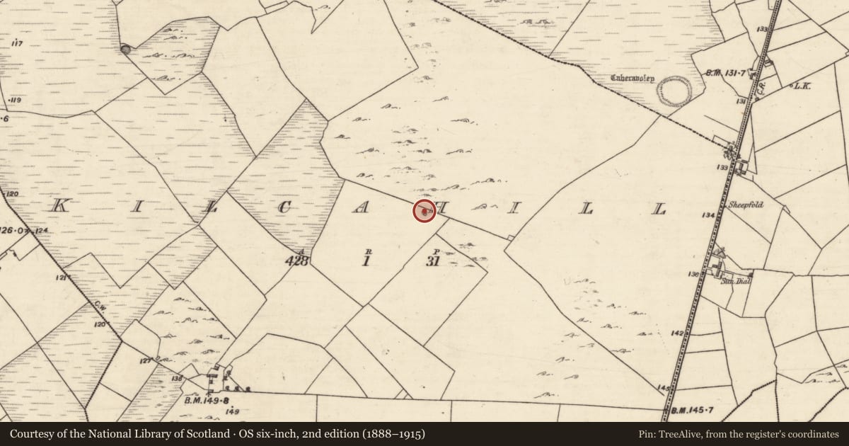 Ordnance Survey six-inch map, 2nd edition (1888–1915) covering the location of Well, Kilcahill, County Galway, with a pin at the register's coordinates