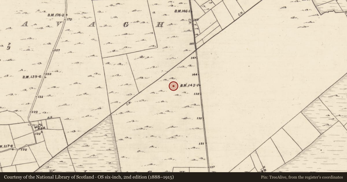 Ordnance Survey six-inch map, 2nd edition (1888–1915) covering the location of Ringfort - unclassified, Kilcurrivard, County Galway, with a pin at the register's coordinates