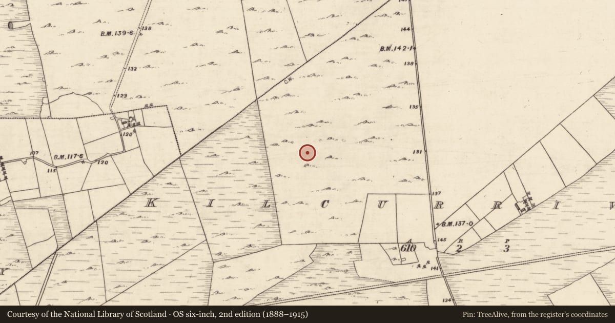 Ordnance Survey six-inch map, 2nd edition (1888–1915) covering the location of Ringfort - unclassified, Kilcurrivard, County Galway, with a pin at the register's coordinates