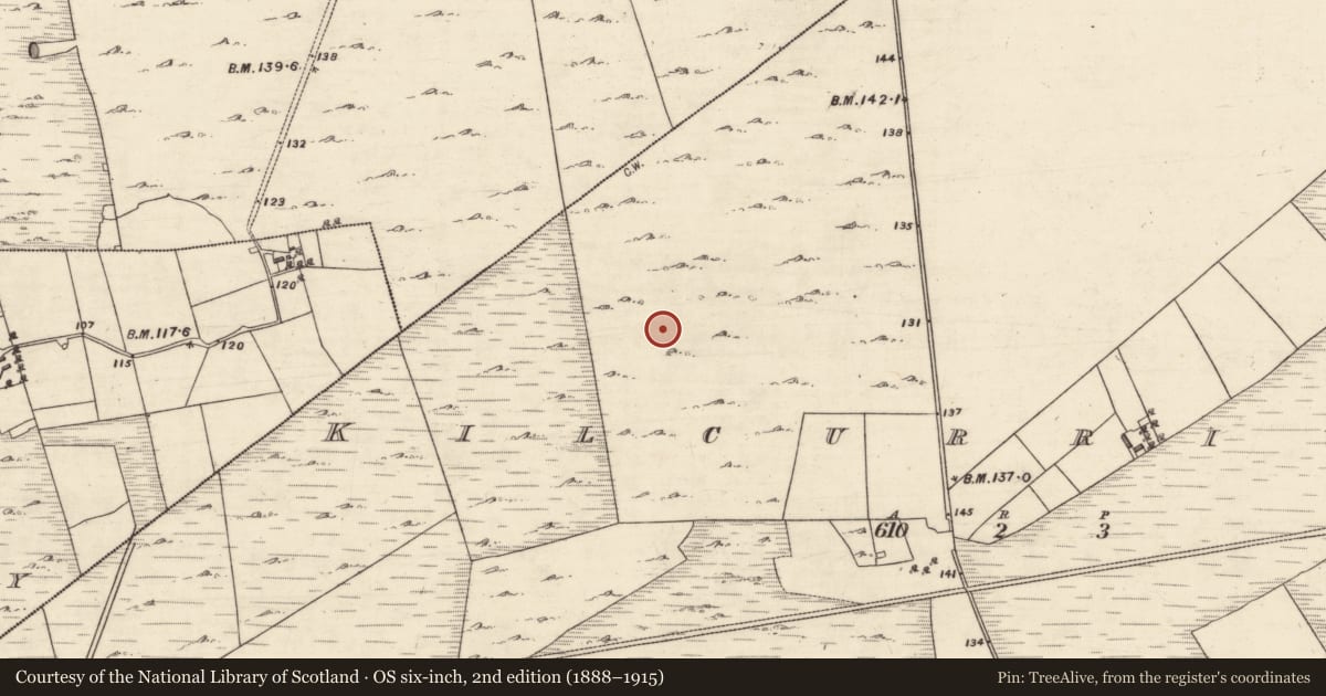 Ordnance Survey six-inch map, 2nd edition (1888–1915) covering the location of Souterrain, Kilcurrivard, County Galway, with a pin at the register's coordinates