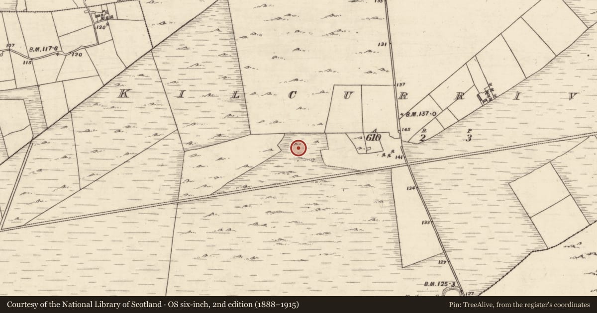 Ordnance Survey six-inch map, 2nd edition (1888–1915) covering the location of Ringfort - unclassified, Kilcurrivard, County Galway, with a pin at the register's coordinates
