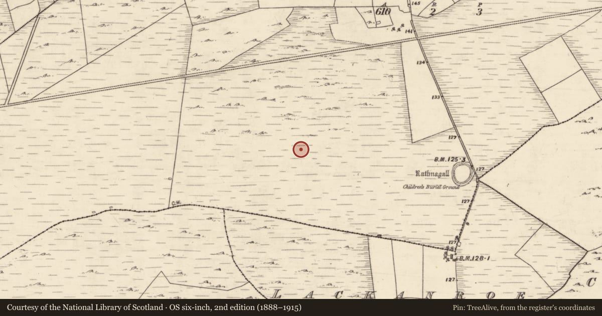 Ordnance Survey six-inch map, 2nd edition (1888–1915) covering the location of Ringfort - cashel, Kilcurrivard, County Galway, with a pin at the register's coordinates
