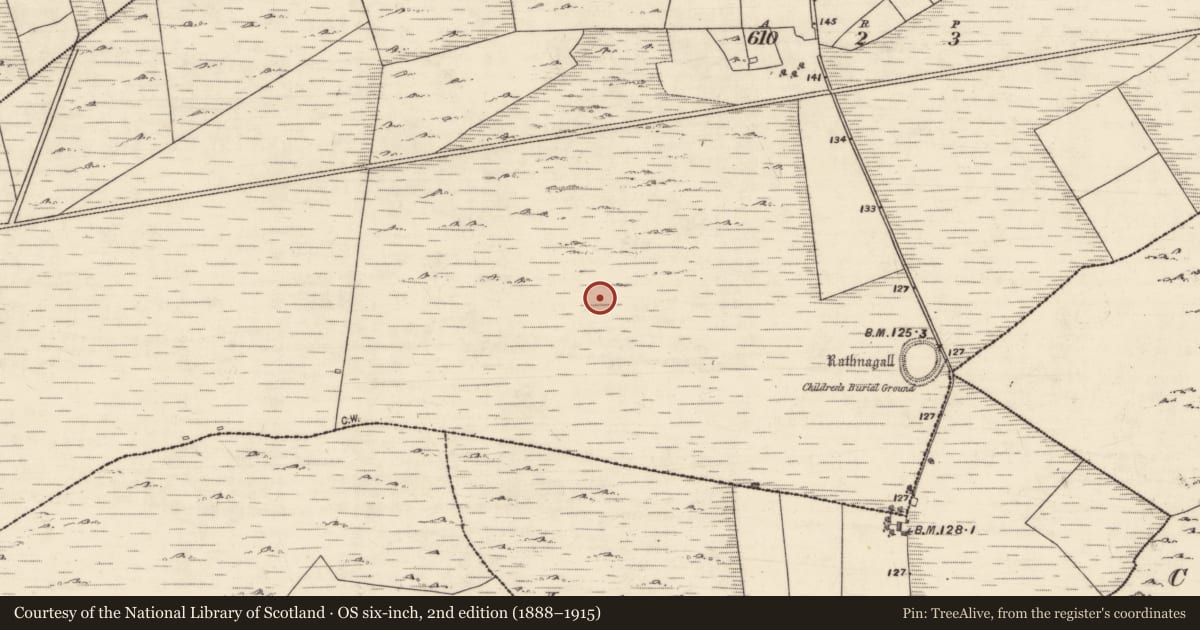 Ordnance Survey six-inch map, 2nd edition (1888–1915) covering the location of Souterrain, Kilcurrivard, County Galway, with a pin at the register's coordinates