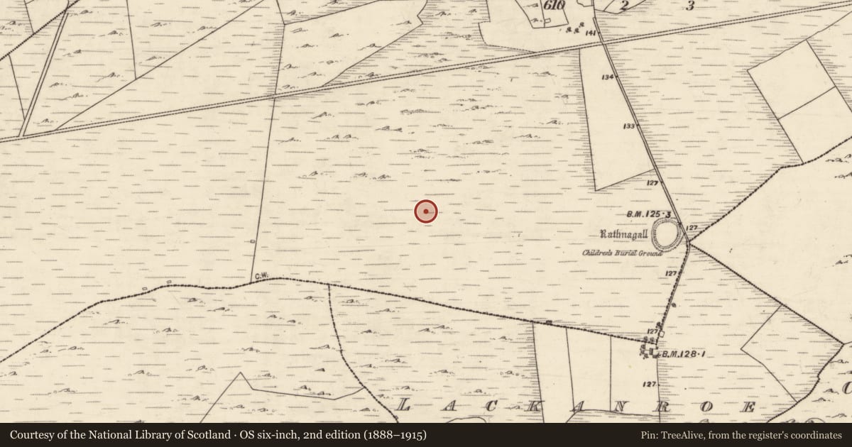 Ordnance Survey six-inch map, 2nd edition (1888–1915) covering the location of House - indeterminate date, Kilcurrivard, County Galway, with a pin at the register's coordinates