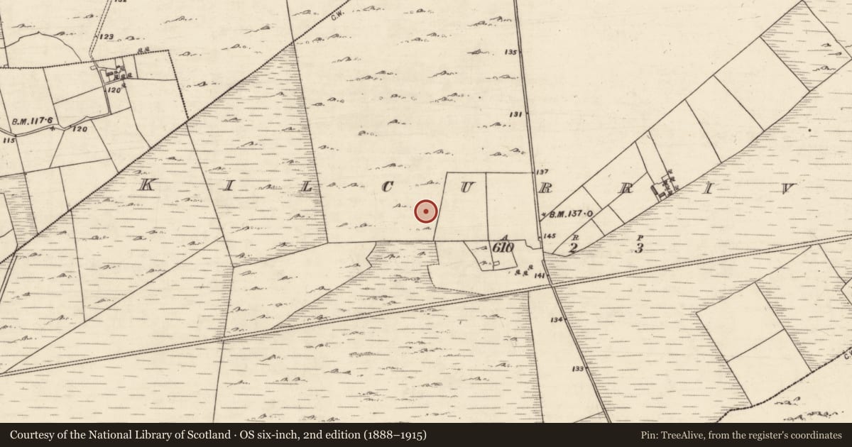 Ordnance Survey six-inch map, 2nd edition (1888–1915) covering the location of Souterrain, Kilcurrivard, County Galway, with a pin at the register's coordinates