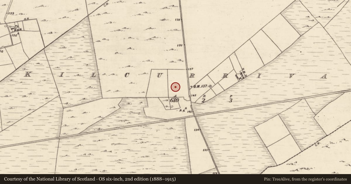 Ordnance Survey six-inch map, 2nd edition (1888–1915) covering the location of Enclosure, Kilcurrivard, County Galway, with a pin at the register's coordinates