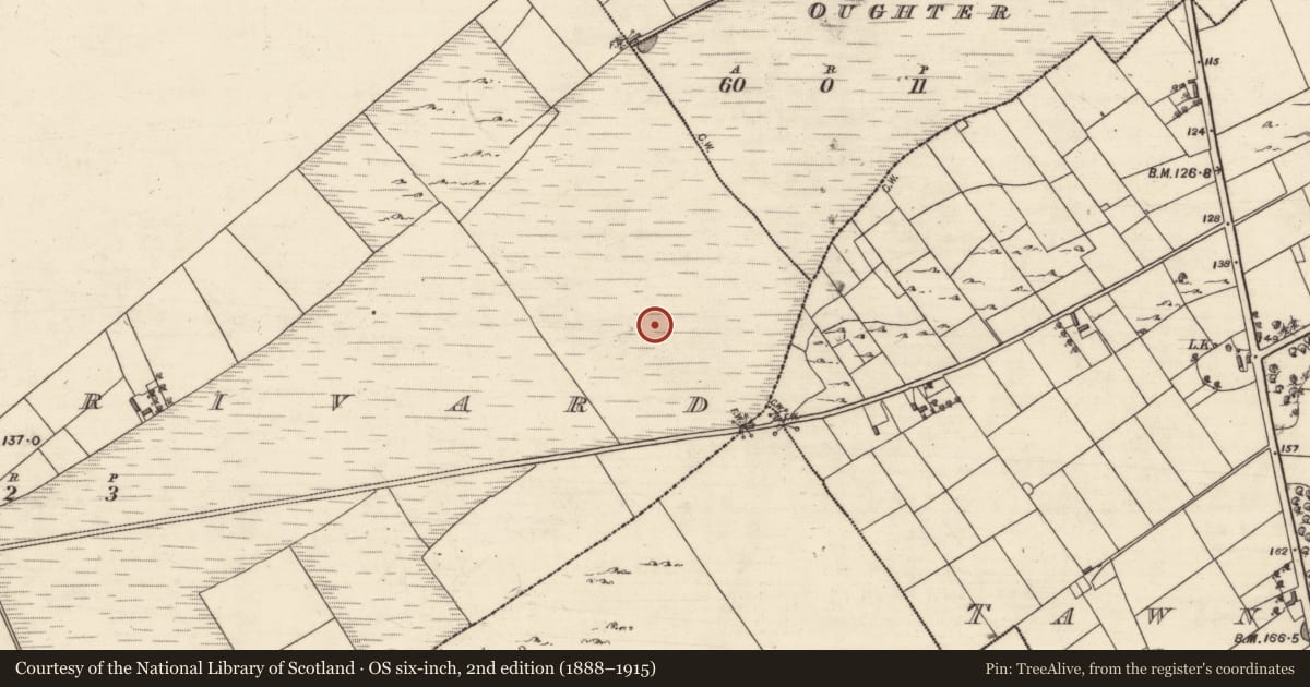 Ordnance Survey six-inch map, 2nd edition (1888–1915) covering the location of Burial, Kilcurrivard, County Galway, with a pin at the register's coordinates