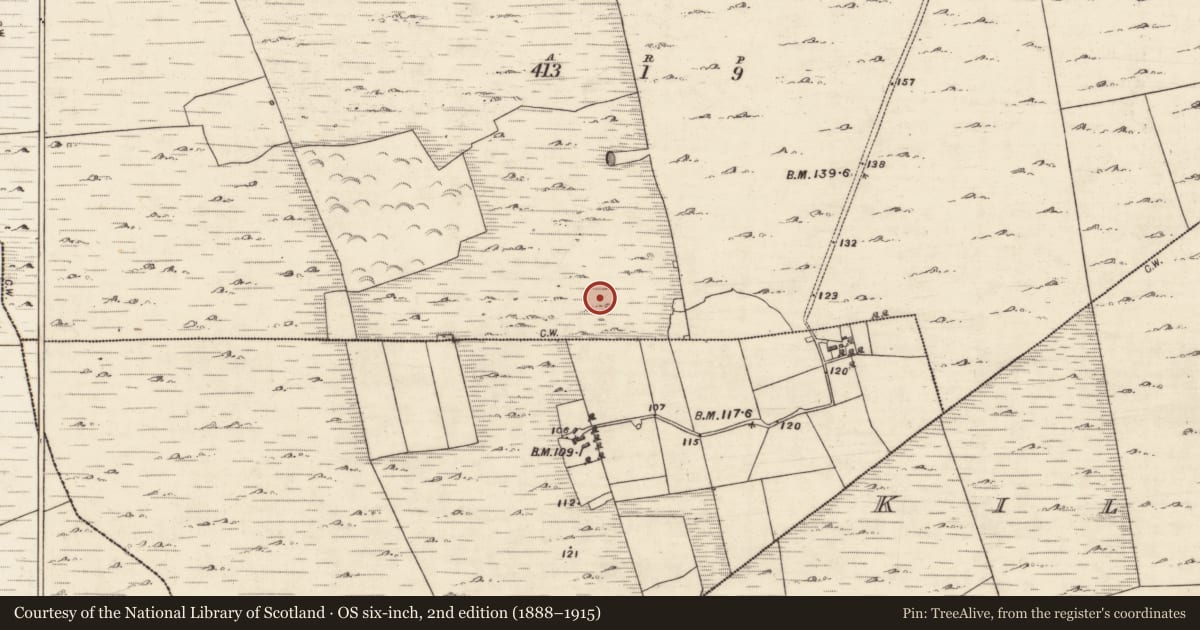 Ordnance Survey six-inch map, 2nd edition (1888–1915) covering the location of Enclosure, Laurclavagh, County Galway, with a pin at the register's coordinates