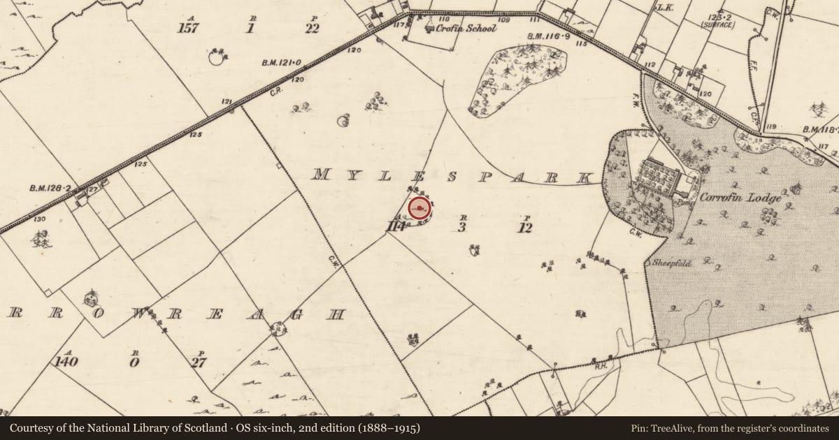 Ordnance Survey six-inch map, 2nd edition (1888–1915) covering the location of Souterrain, Mylespark, County Galway, with a pin at the register's coordinates