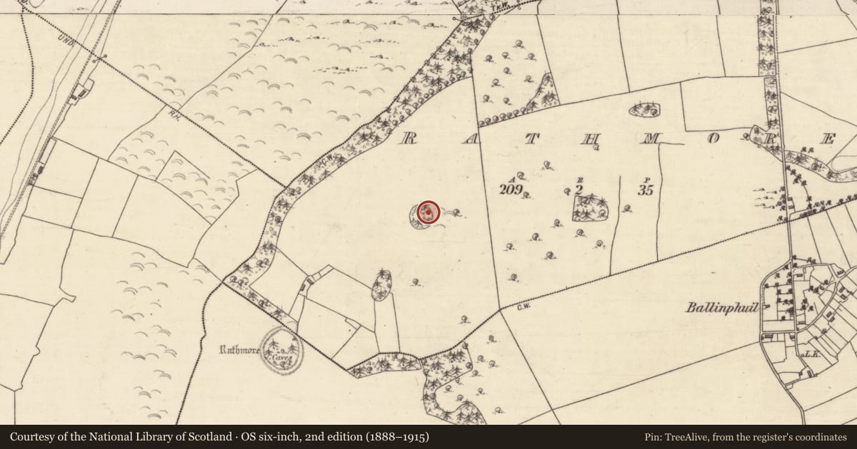 Ordnance Survey six-inch map, 2nd edition (1888–1915) covering the location of Designed landscape - tree-ring, Rathmore, County Galway, with a pin at the register's coordinates