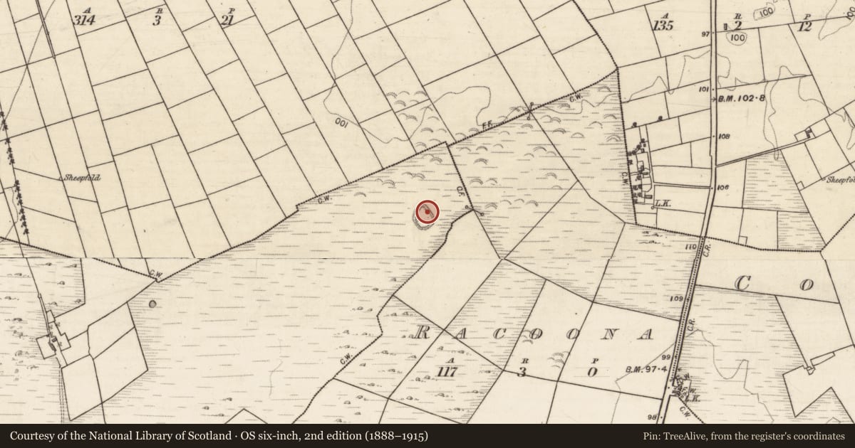 Ordnance Survey six-inch map, 2nd edition (1888–1915) covering the location of Enclosure, Slievefin, County Galway, with a pin at the register's coordinates