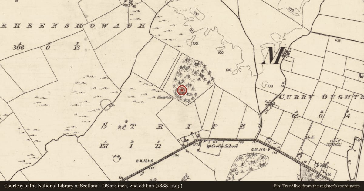 Ordnance Survey six-inch map, 2nd edition (1888–1915) covering the location of Ringfort - unclassified, Stripe, County Galway, with a pin at the register's coordinates