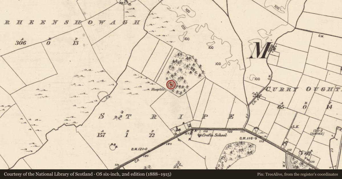 Ordnance Survey six-inch map, 2nd edition (1888–1915) covering the location of Souterrain, Stripe, County Galway, with a pin at the register's coordinates