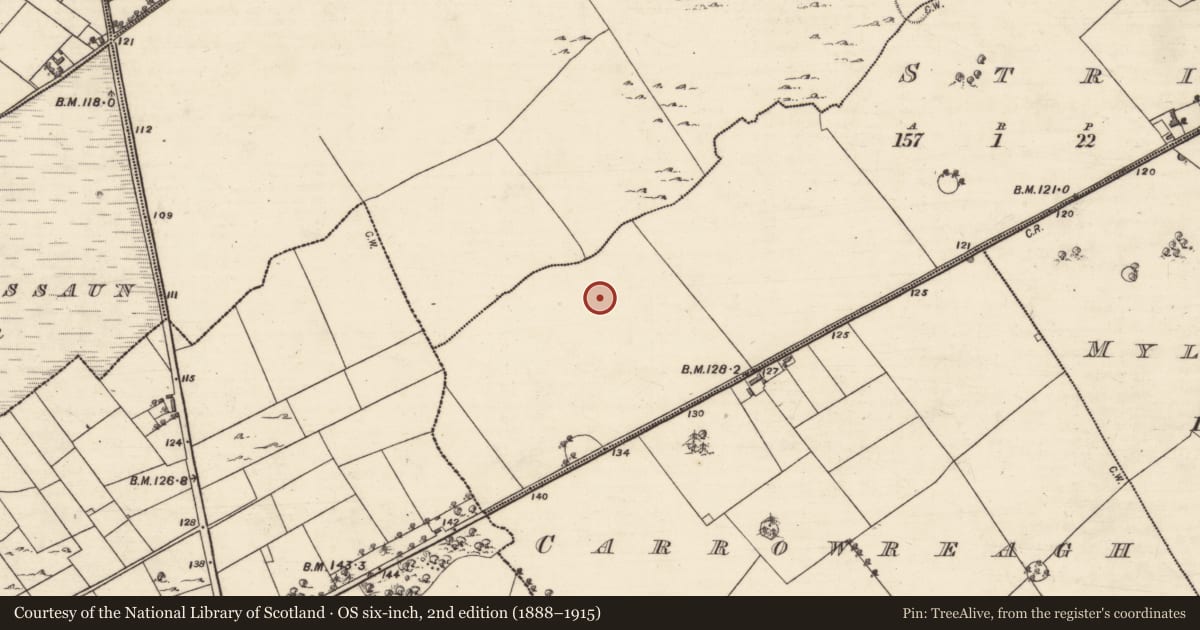 Ordnance Survey six-inch map, 2nd edition (1888–1915) covering the location of Ringfort - unclassified, Stripe, County Galway, with a pin at the register's coordinates