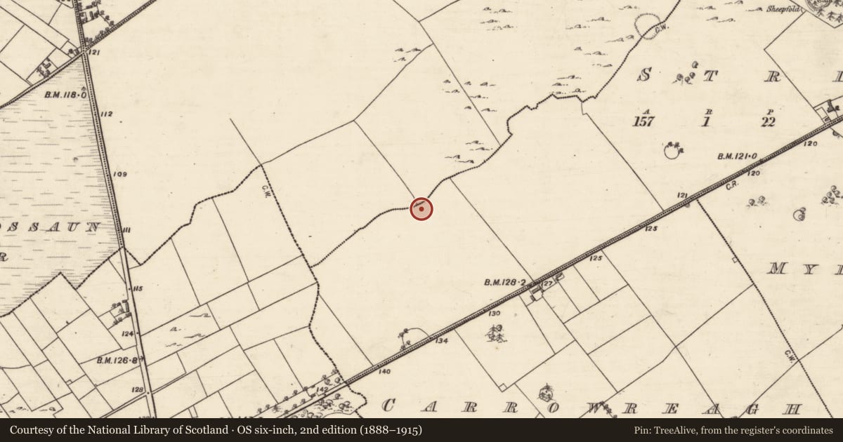 Ordnance Survey six-inch map, 2nd edition (1888–1915) covering the location of House - indeterminate date, Stripe, County Galway, with a pin at the register's coordinates