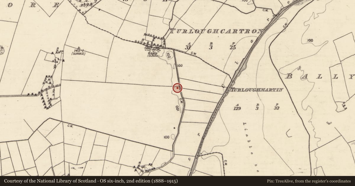Ordnance Survey six-inch map, 2nd edition (1888–1915) covering the location of Children's burial ground, An Tamhnach Mhór, County Galway, with a pin at the register's coordinates