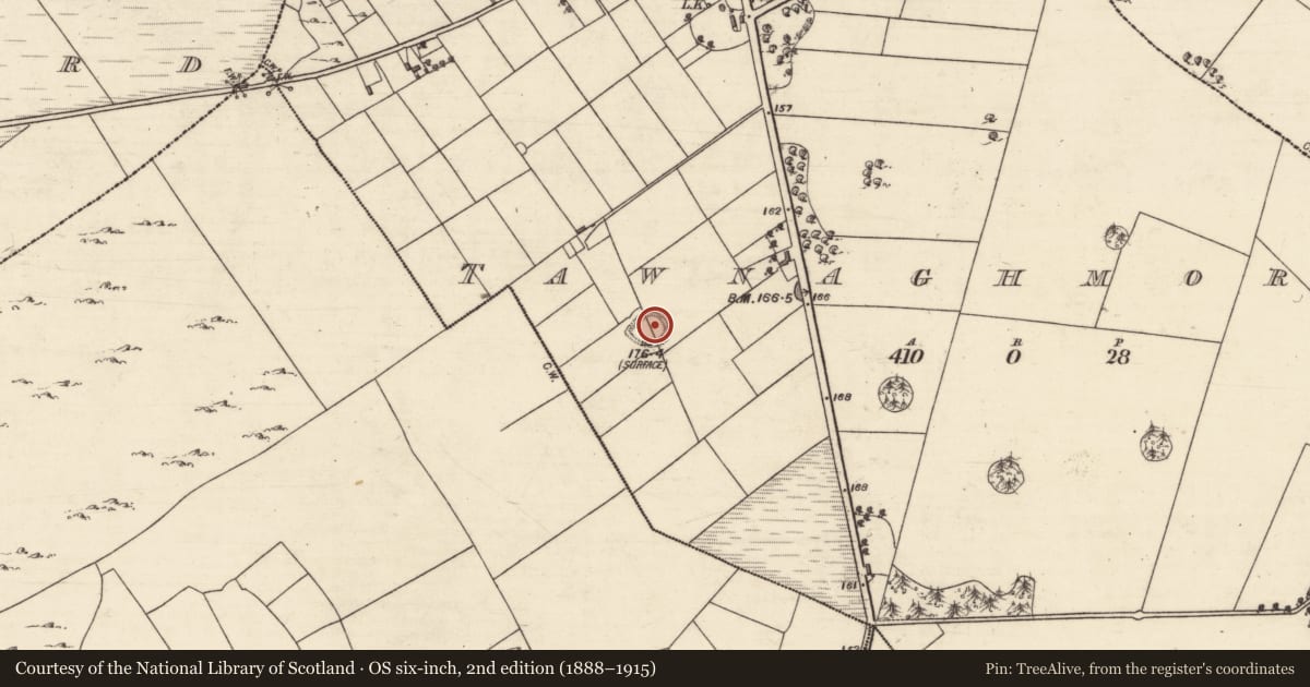 Ordnance Survey six-inch map, 2nd edition (1888–1915) covering the location of Ringfort - unclassified, An Tamhnach Mhór, County Galway, with a pin at the register's coordinates
