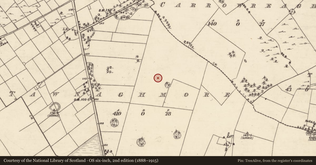 Ordnance Survey six-inch map, 2nd edition (1888–1915) covering the location of Designed landscape feature, An Tamhnach Mhór, County Galway, with a pin at the register's coordinates