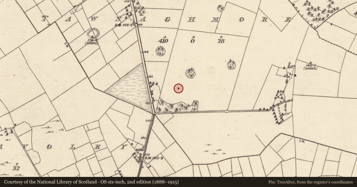 Ordnance Survey six-inch map, 2nd edition (1888–1915) covering the location of Designed landscape feature, An Tamhnach Mhór, County Galway, with a pin at the register's coordinates