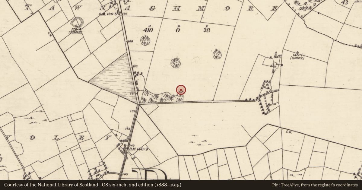 Ordnance Survey six-inch map, 2nd edition (1888–1915) covering the location of Designed landscape feature, An Tamhnach Mhór, County Galway, with a pin at the register's coordinates