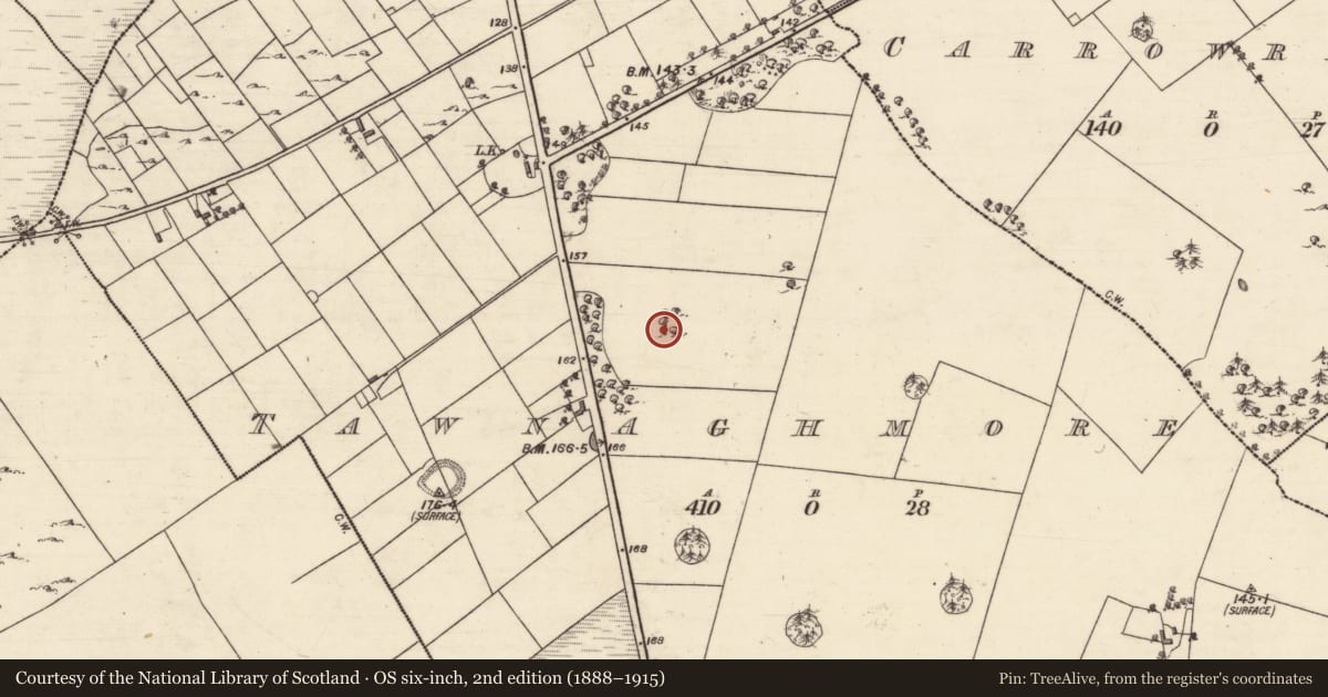 Ordnance Survey six-inch map, 2nd edition (1888–1915) covering the location of Designed landscape feature, An Tamhnach Mhór, County Galway, with a pin at the register's coordinates