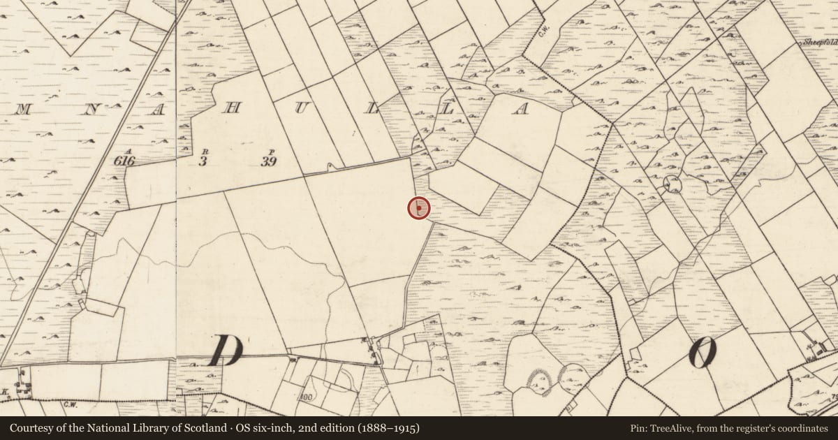 Ordnance Survey six-inch map, 2nd edition (1888–1915) covering the location of Ringfort - cashel, Tomnahulla, County Galway, with a pin at the register's coordinates