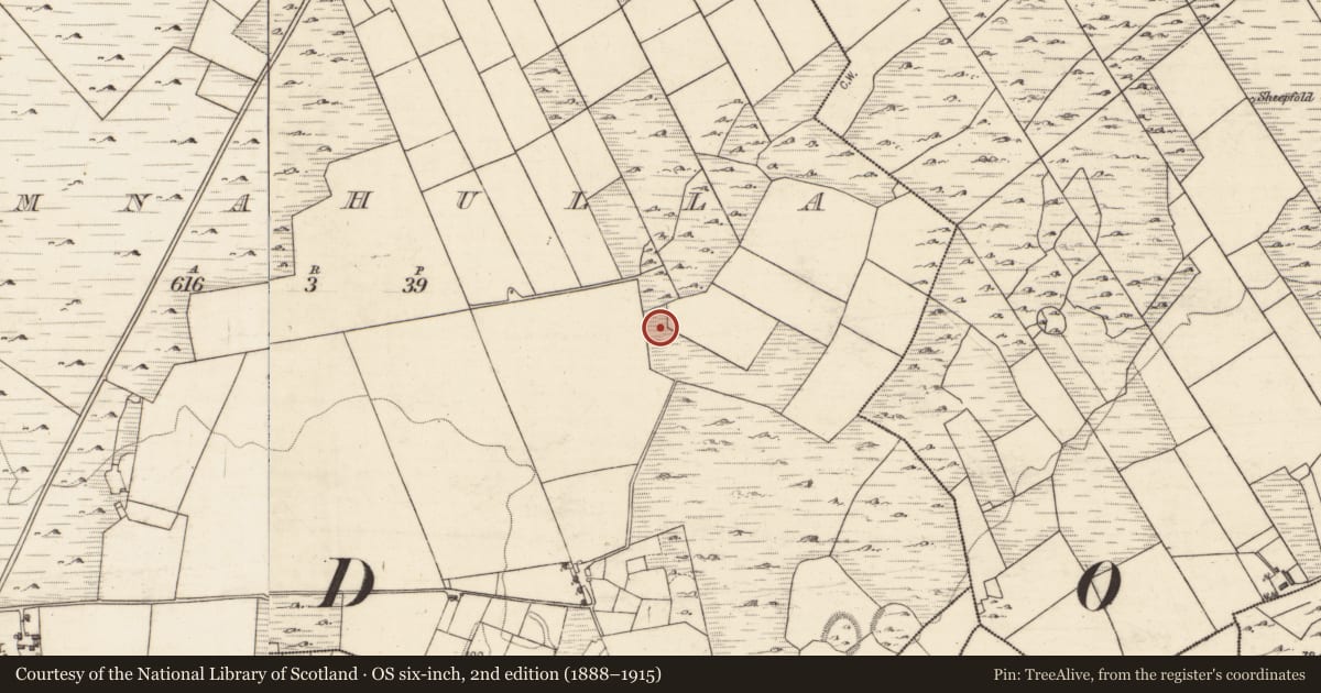 Ordnance Survey six-inch map, 2nd edition (1888–1915) covering the location of House - indeterminate date, Tomnahulla, County Galway, with a pin at the register's coordinates