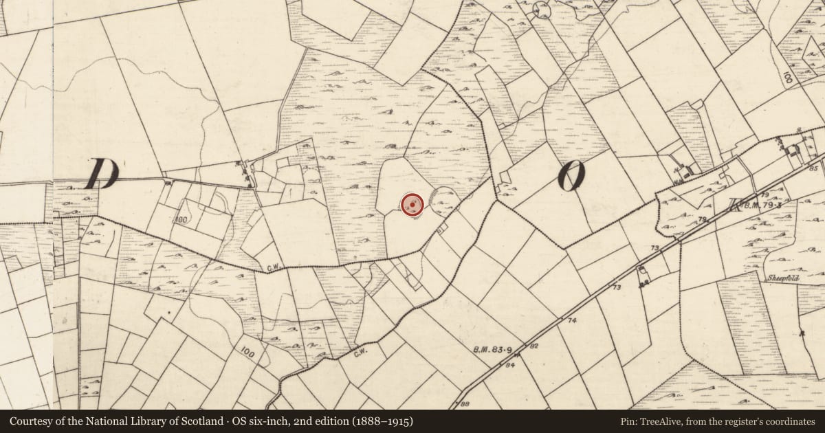 Ordnance Survey six-inch map, 2nd edition (1888–1915) covering the location of Enclosure, Tomnahulla, County Galway, with a pin at the register's coordinates