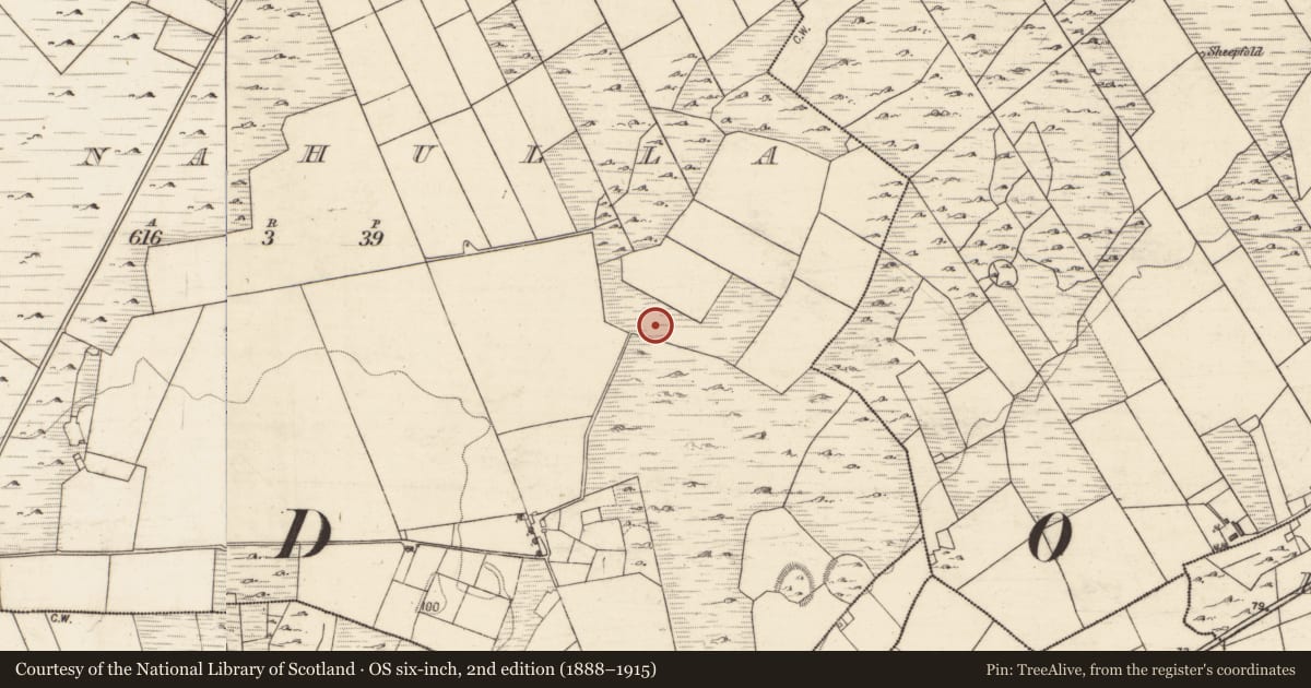 Ordnance Survey six-inch map, 2nd edition (1888–1915) covering the location of House - indeterminate date, Tomnahulla, County Galway, with a pin at the register's coordinates