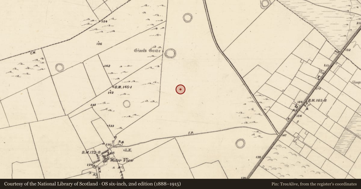 Ordnance Survey six-inch map, 2nd edition (1888–1915) covering the location of Ringfort - cashel, Ballybrone, County Galway, with a pin at the register's coordinates