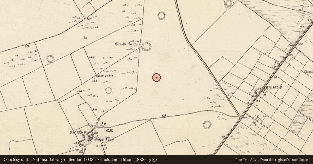 Ordnance Survey six-inch map, 2nd edition (1888–1915) covering the location of Enclosure, Ballybrone, County Galway, with a pin at the register's coordinates