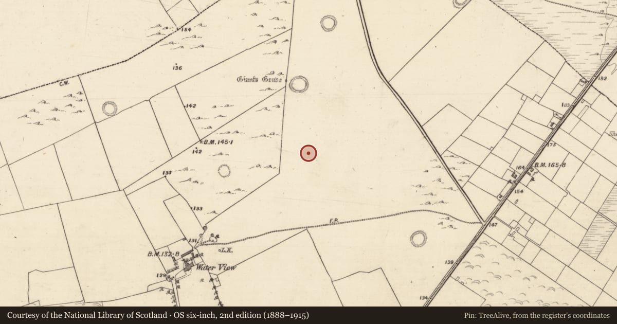 Ordnance Survey six-inch map, 2nd edition (1888–1915) covering the location of Enclosure, Ballybrone, County Galway, with a pin at the register's coordinates