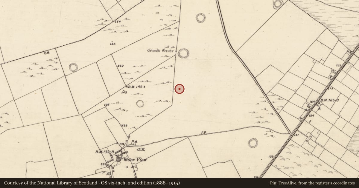 Ordnance Survey six-inch map, 2nd edition (1888–1915) covering the location of Field system, Ballybrone, County Galway, with a pin at the register's coordinates