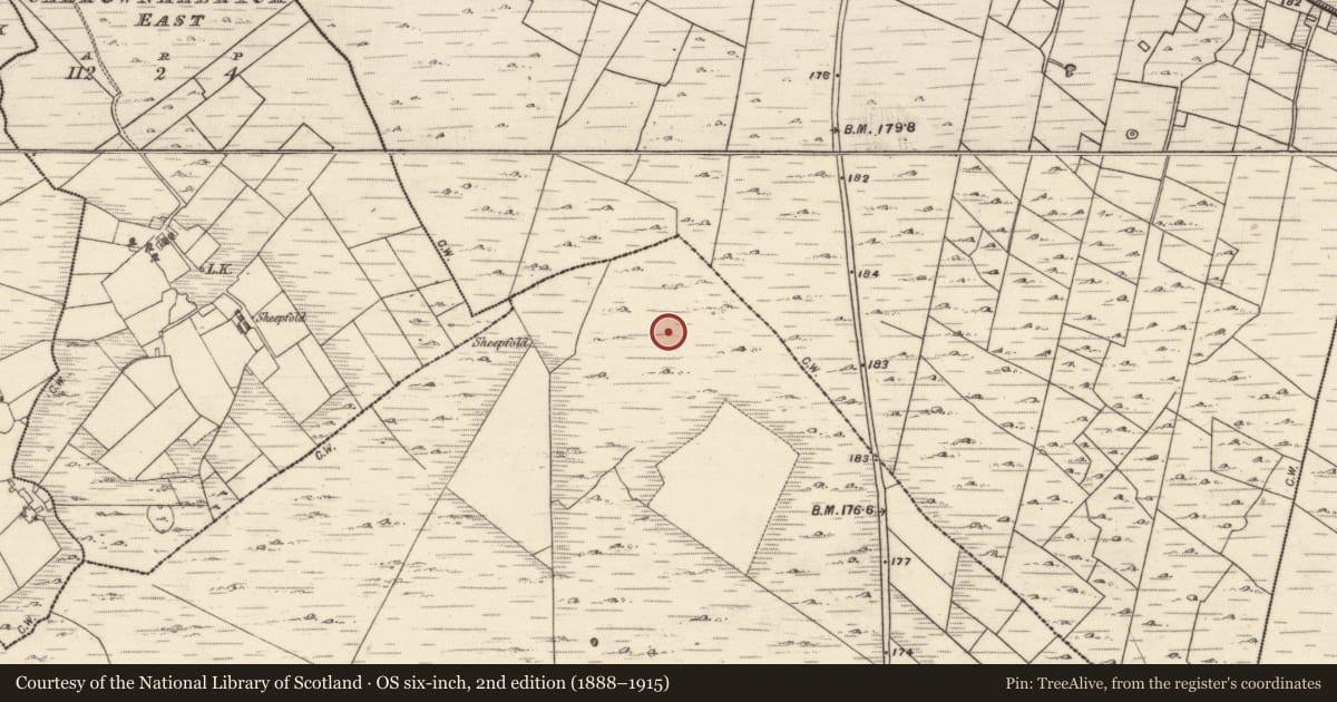 Ordnance Survey six-inch map, 2nd edition (1888–1915) covering the location of Field system, Kilcurriv Eighter, County Galway, with a pin at the register's coordinates