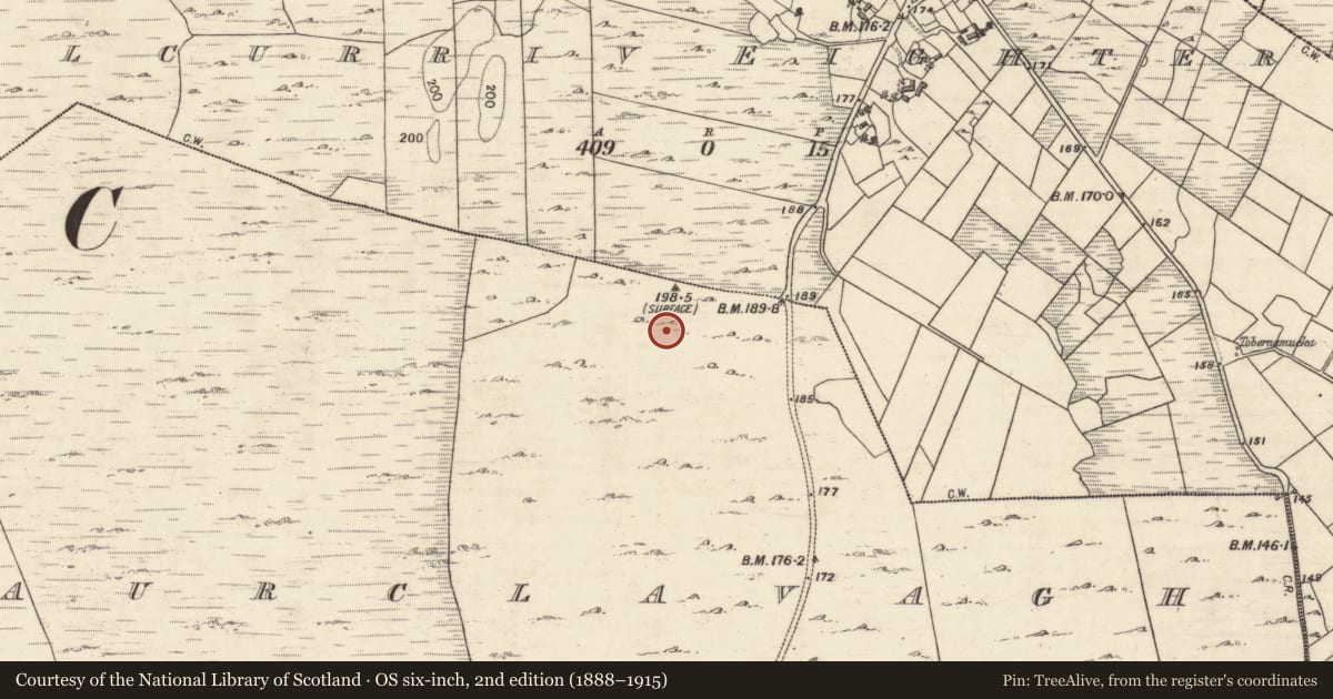 Ordnance Survey six-inch map, 2nd edition (1888–1915) covering the location of Hut site, Laurclavagh, County Galway, with a pin at the register's coordinates
