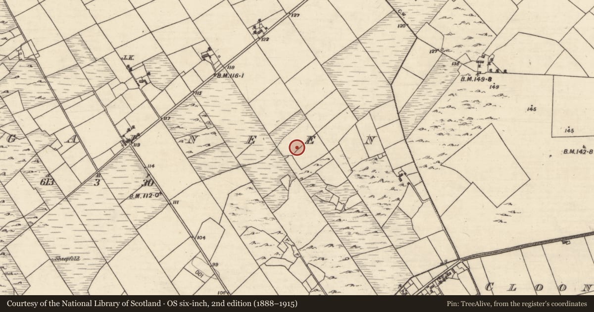 Ordnance Survey six-inch map, 2nd edition (1888–1915) covering the location of Barrow - ring-barrow, Ardgaineen, County Galway, with a pin at the register's coordinates