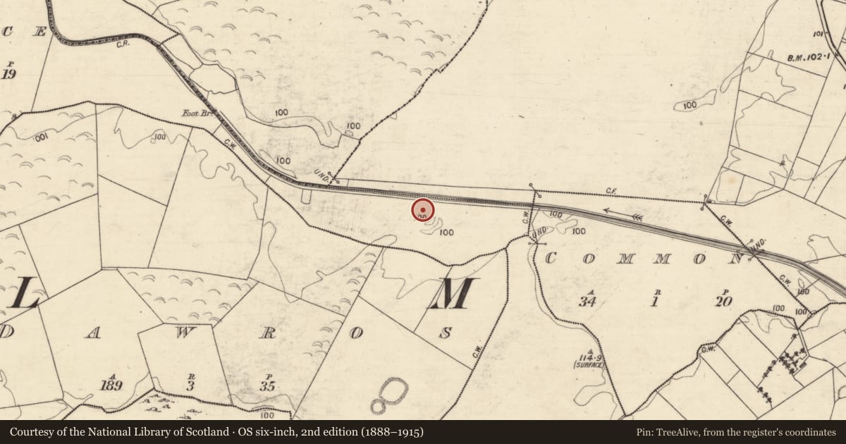 Ordnance Survey six-inch map, 2nd edition (1888–1915) covering the location of Enclosure, Tonamace, County Galway, with a pin at the register's coordinates