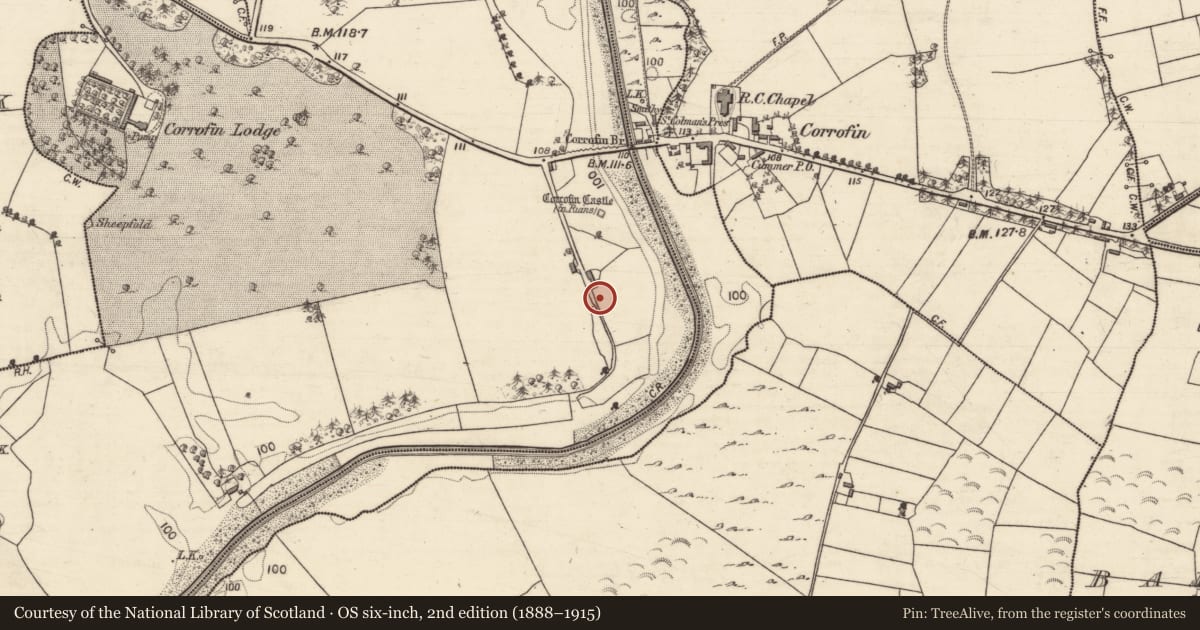 Ordnance Survey six-inch map, 2nd edition (1888–1915) covering the location of Burial ground, Corrofin, County Galway, with a pin at the register's coordinates