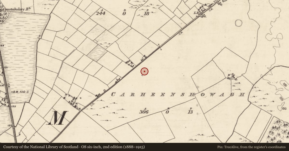 Ordnance Survey six-inch map, 2nd edition (1888–1915) covering the location of Barrow - ring-barrow, Carheenshowagh, County Galway, with a pin at the register's coordinates